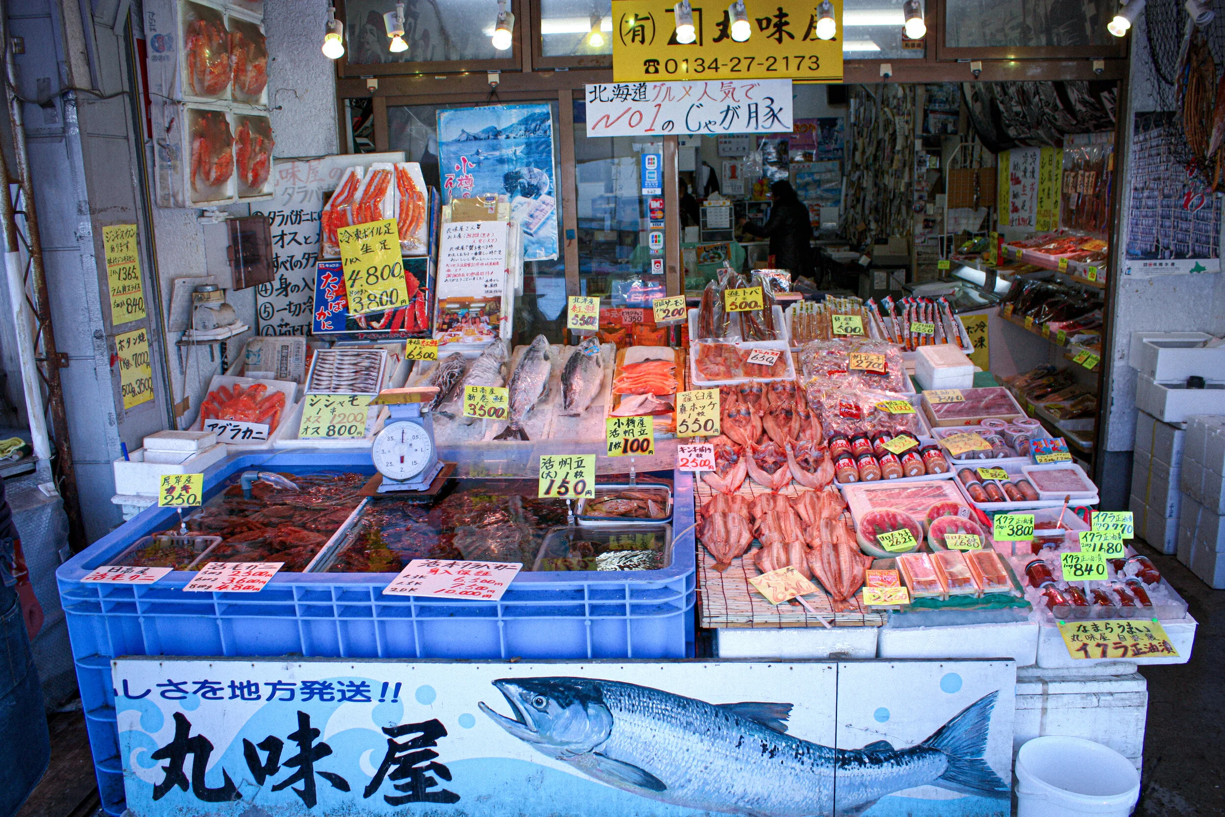 fish